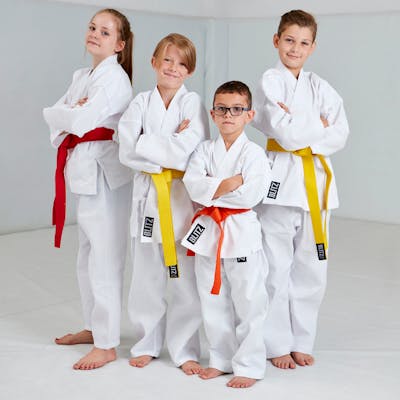 Martial Arts Wholesale Enquiries