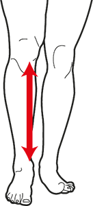 Blitz Shin Size Chart